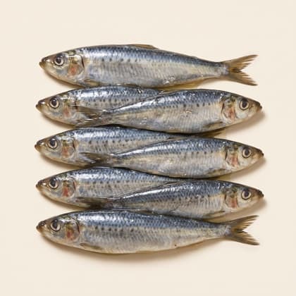 Sardine à l'huile boite 3/1