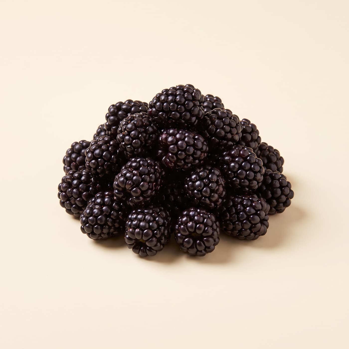 Mûres scht 2,5kg