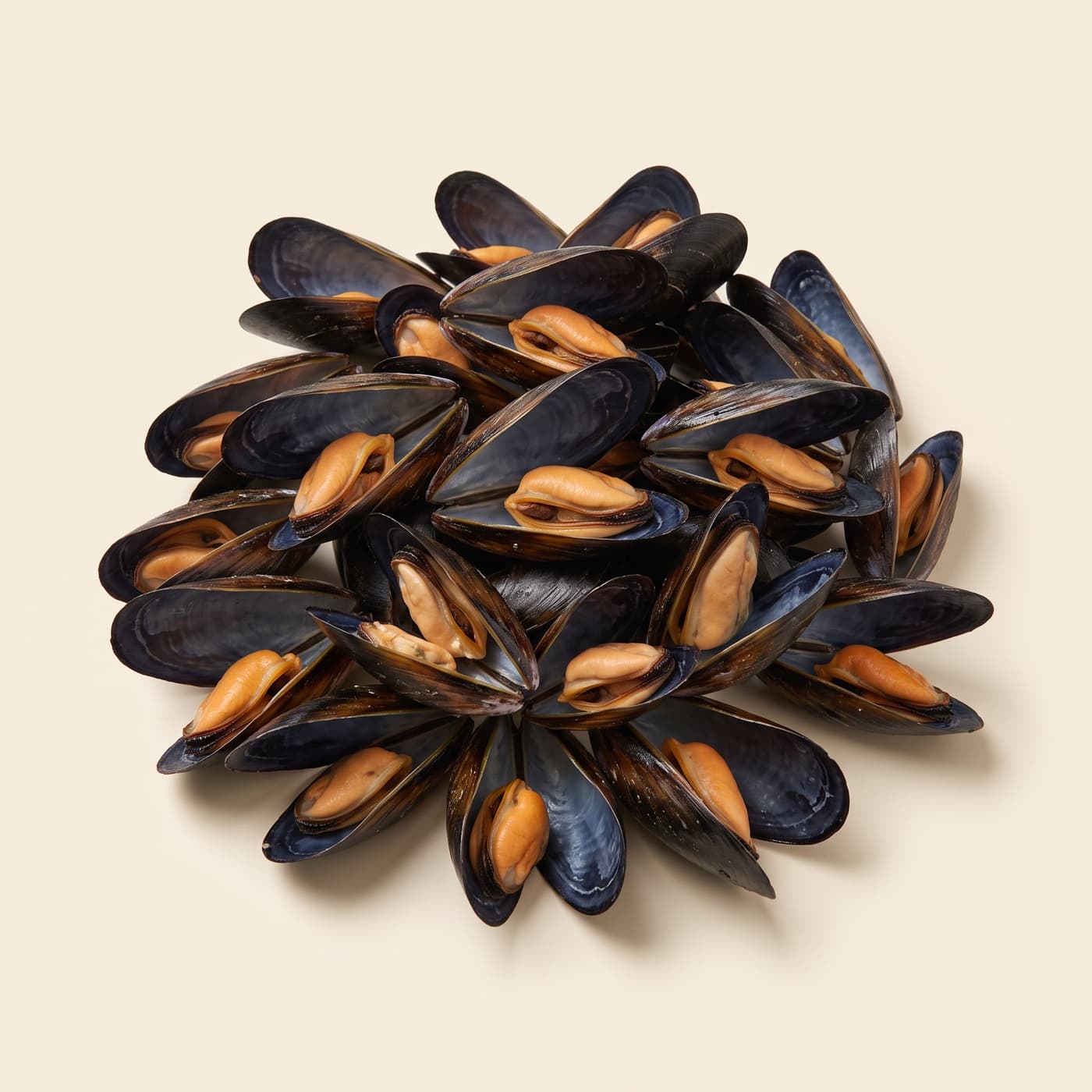 Moules entières cuites 60/80 scht 1kg